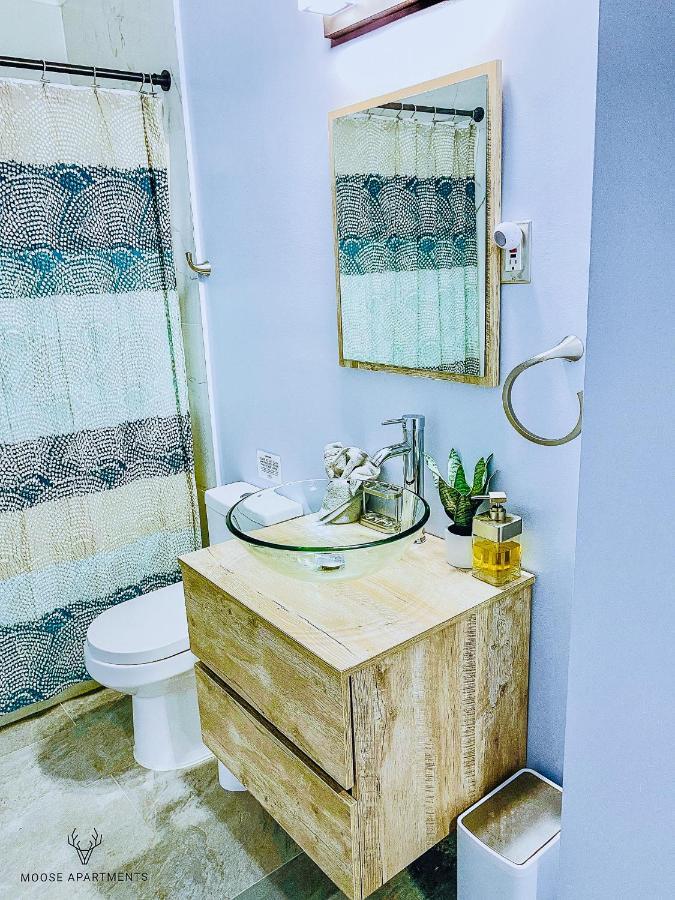 ממפיס The Moose #3 - Modern Luxe Studio With Free Gated Parking & Wifi מראה חיצוני תמונה